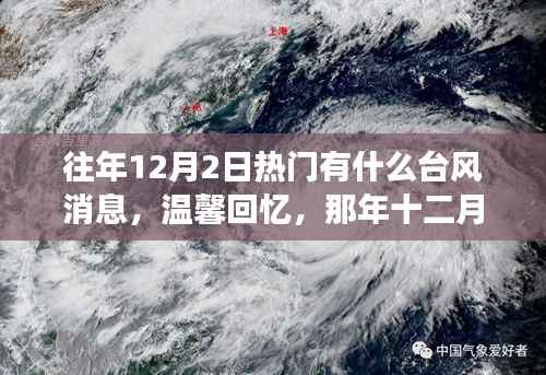 营销网络 第271页