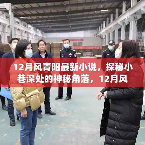 探秘小巷深处的隐藏书店，风青阳最新小说揭秘神秘角落