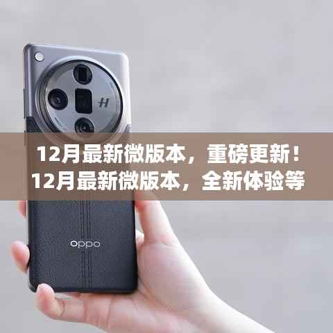 12月最新微版本重磅更新,全新体验探索之旅