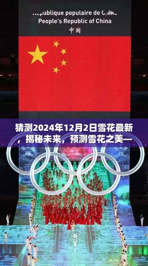 揭秘未来雪花之美,以2024年12月2日为时间节点的雪花最新动态预测与探讨