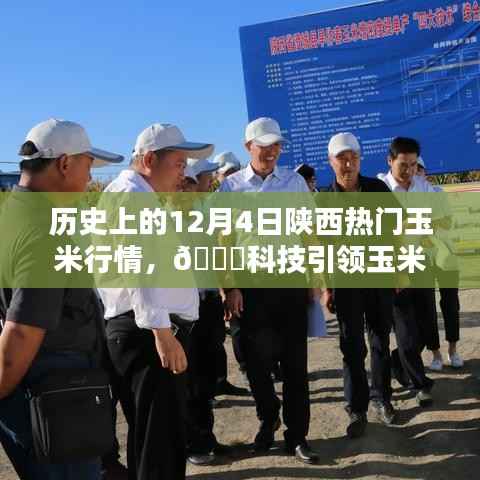 揭秘历史上的陕西玉米行情,科技引领新时代,智能系统解析12月4日热门玉米行情