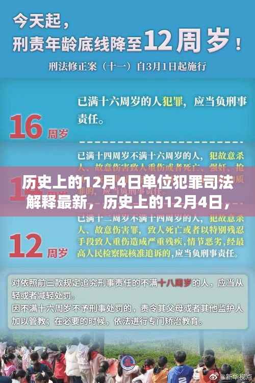历史上的12月4日,单位犯罪司法解释最新发展概览