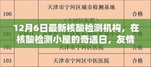 核酸检测小屋的奇遇日,友情与爱,暖心时光的交织