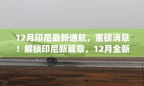 印尼新篇章开启,12月全新通航重磅来袭!