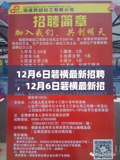 12月6日箬横最新招聘,12月6日箬横最新招聘盛会,职场人的新机遇