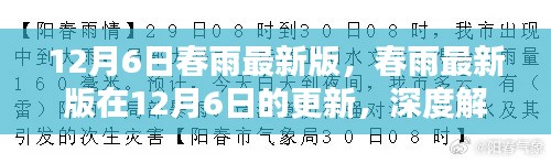 春雨最新版12月6日更新深度解析,聚焦某某观点