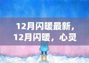 心灵与自然的美妙邂逅,十二月闪暖最新资讯与体验
