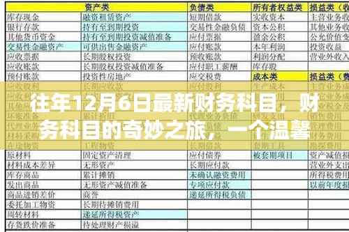 温馨日常故事,财务科目的奇妙之旅,揭秘往年12月6日最新科目
