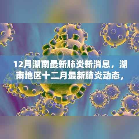 12月湖南最新肺炎新消息,湖南地区十二月最新肺炎动态,背景、进展与影响