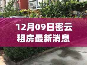 联系我们 第233页