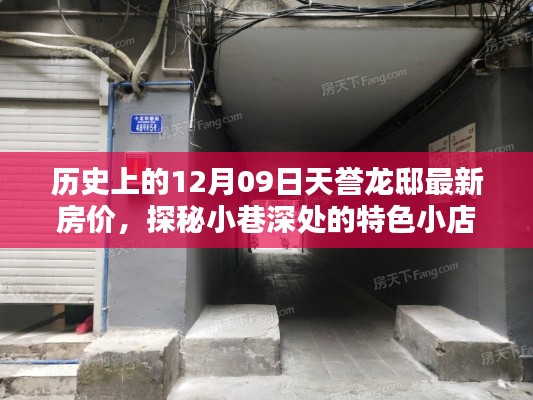 揭秘历史上的天誉龙邸房价与小巷深处的特色小店探秘