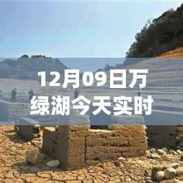 揭秘万绿湖实时水位变化,最新水位图表解析(12月09日)