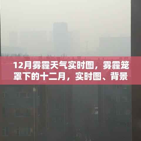 雾霾笼罩下的十二月,实时图、背景与影响深度分析