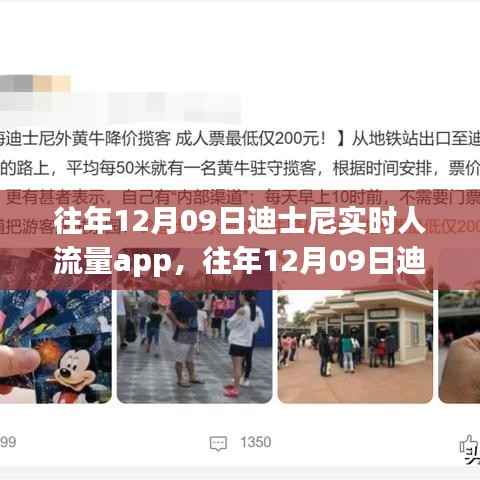 往年12月09日迪士尼实时人流量掌控,智能App助力游客畅游体验新篇章