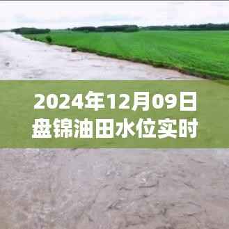 联系我们 第225页