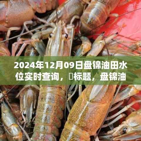 盘锦油田水位实时查询,探寻宁静油田的美景之旅