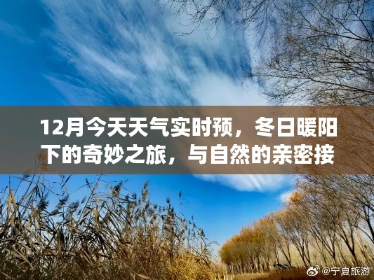 营销网络 第233页