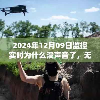 无声监控下的奇妙心灵之旅,为何监控实时无声?寻找内心平静的风景之旅揭秘