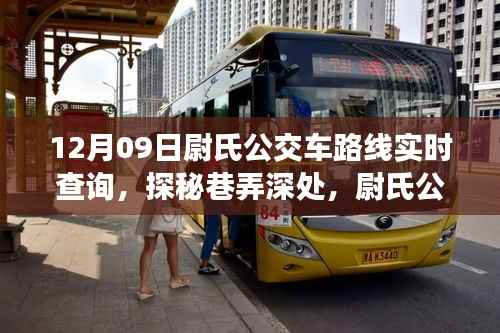 探秘尉氏公交路线,解锁隐藏版特色小店,实时查询带你深入巷弄深处