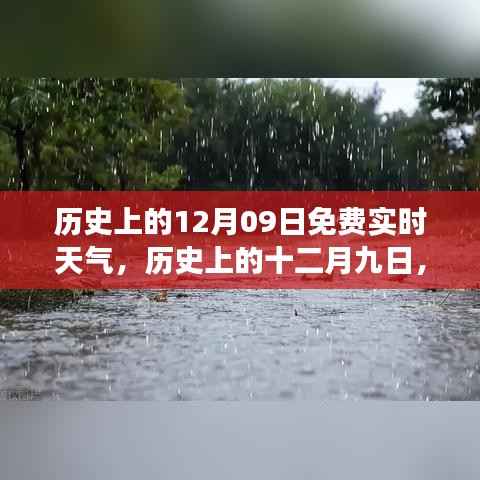 雍容雅步 第2页