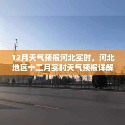 营销网络 第227页