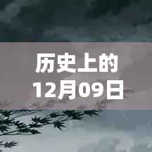 小红书风格,历史上的今天与未来,新疆暴雨预警实时更新,领略独特的12月09日
