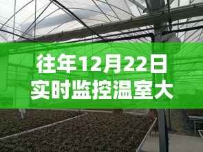 温室大棚实时监控技术揭秘,往年12月22日视频监控揭秘与温室大棚视频监控分析