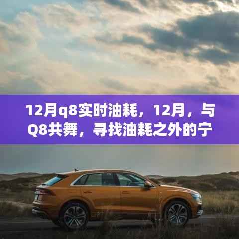 12月Q8实时油耗探索,共舞之旅,探寻油耗与美景的平衡