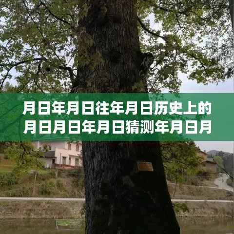 探索历史与未来,苹果实时字幕功能使用指南及历史探索回顾