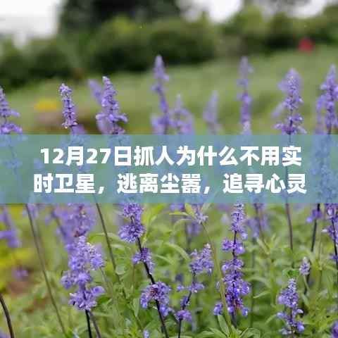 逃离尘嚣,为何选择探索自然美景而非卫星抓人活动?