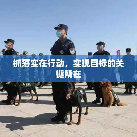 抓落实在行动,实现目标的关键所在