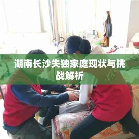 湖南长沙失独家庭现状与挑战解析