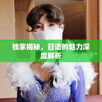 独家揭秘,日语的魅力深度解析