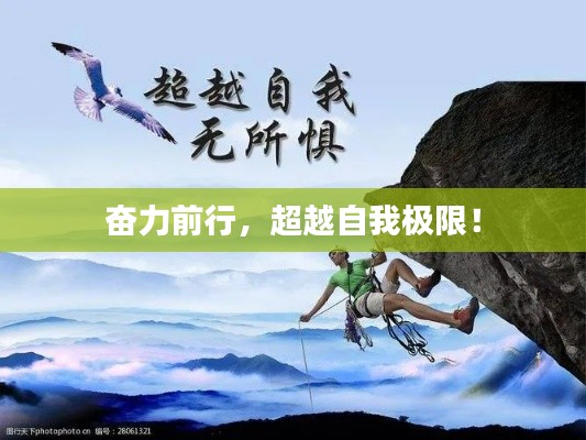 营销网络 第207页