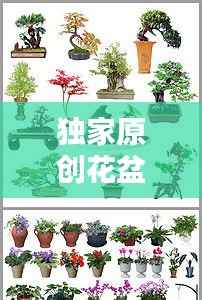 独家原创花盆图片,独家原创花盆图片高清