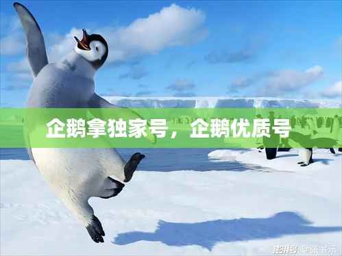 企鹅拿独家号,企鹅优质号