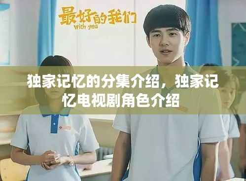 独家记忆的分集介绍,独家记忆电视剧角色介绍