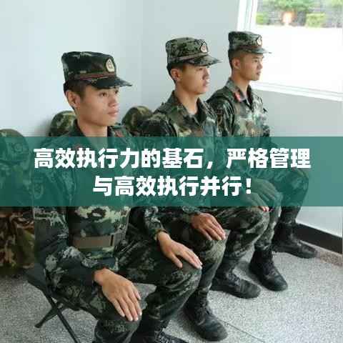 高效执行力的基石，严格管理与高效执行并行！