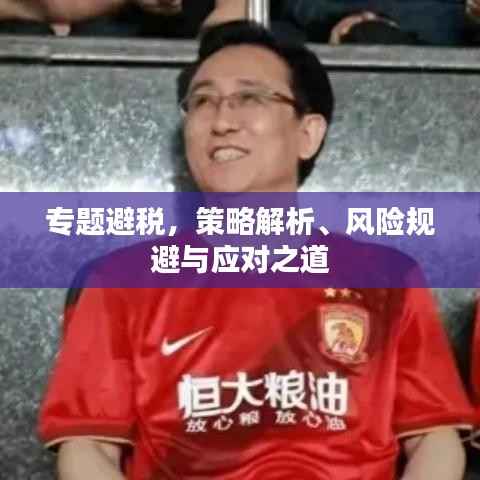 专题避税,策略解析、风险规避与应对之道