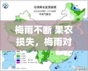 梅雨不断 果农损失,梅雨对长江中下游区的农业有何影响