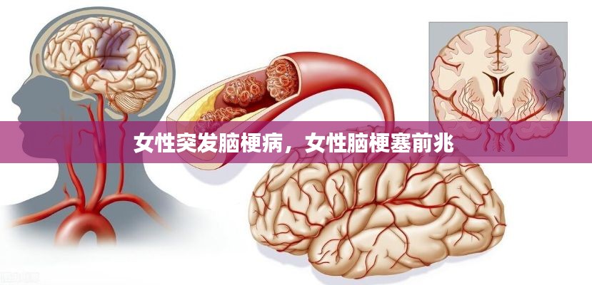 勤勤恳恳 第2页
