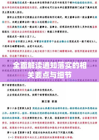 全面解读通知落实的相关要点与细节
