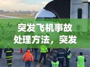 突发飞机事故处理方法,突发飞机事故新闻