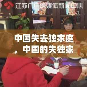 中国失去独家庭,中国的失独家庭究竟有多少