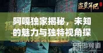 阿嘎独家揭秘,未知的魅力与独特视角探索