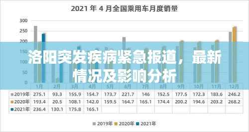 洛阳突发疾病紧急报道,最新情况及影响分析