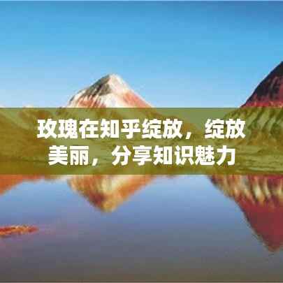 玫瑰在知乎绽放,绽放美丽,分享知识魅力