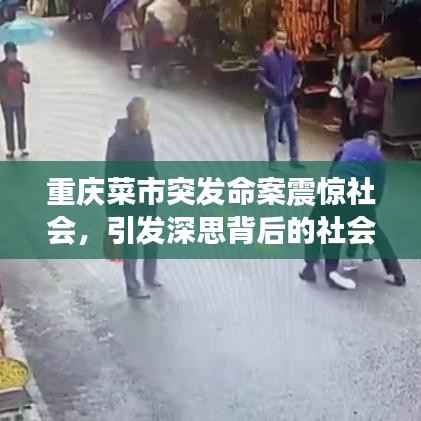 重庆菜市突发命案震惊社会,引发深思背后的社会问题