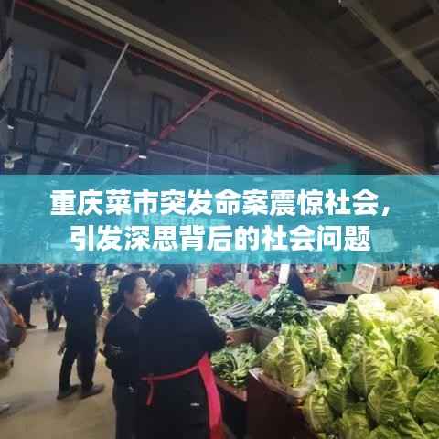 重庆菜市突发命案震惊社会,引发深思背后的社会问题