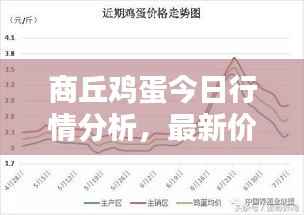 商丘鸡蛋今日行情分析,最新价格走势揭秘